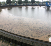 受高濃度工業(yè)廢水沖擊，生活污水廠(chǎng)癱瘓、受罰怎么辦