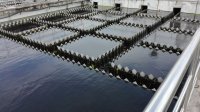 生活污水總磷超標，你可能忽略了這幾個(gè)問(wèn)題